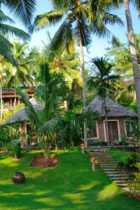 q54763522 - اكاديمية الرؤية الدولية