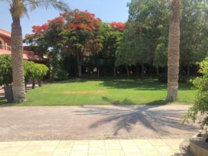 IMG-20250807-WA0003 - اكاديمية الرؤية الدولية