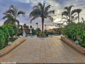 IMG-20250807-WA0005 - اكاديمية الرؤية الدولية